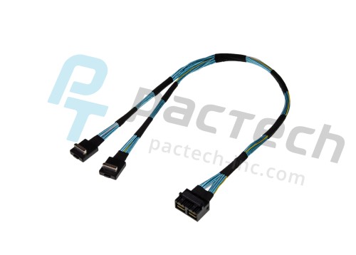 Oculink 42pin RAx2 to HD Mini SAS 36pin x2